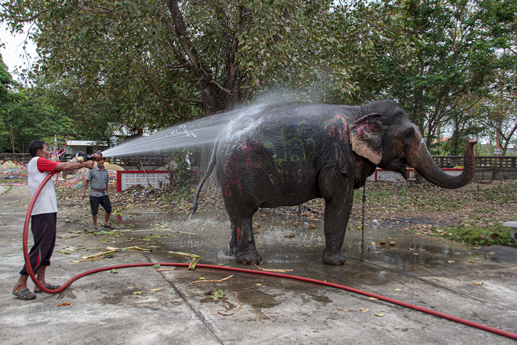 De Thai in Thailand 3