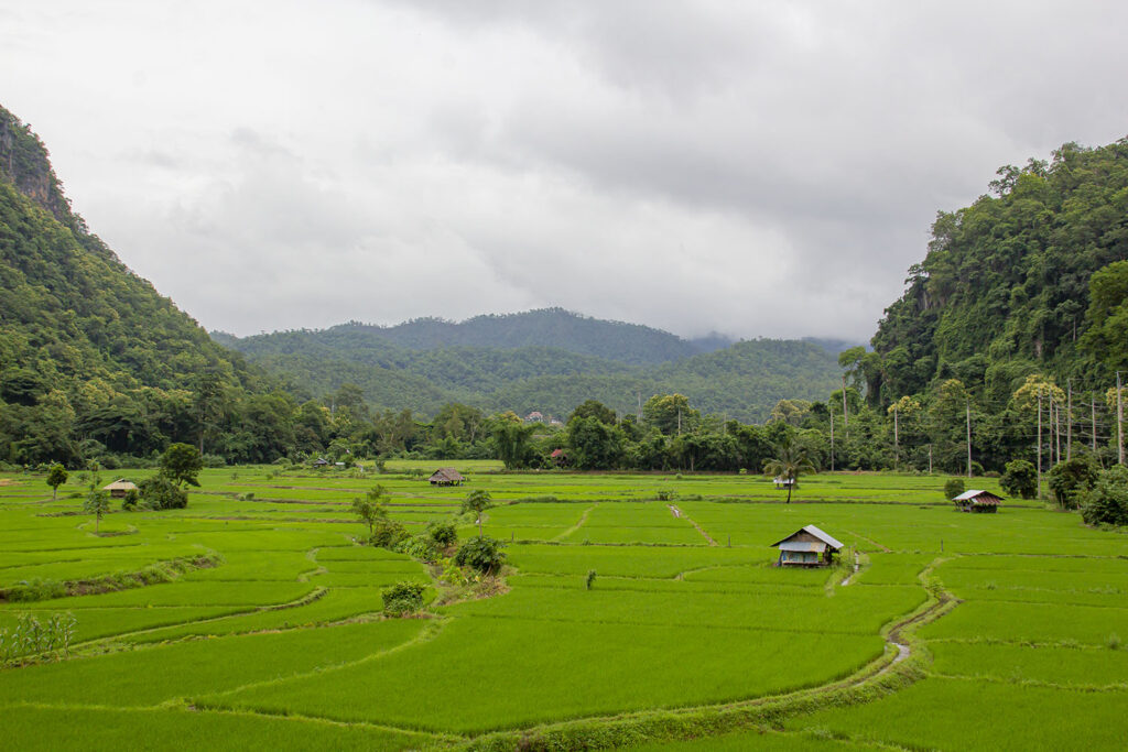 Thai in Thailand -6-