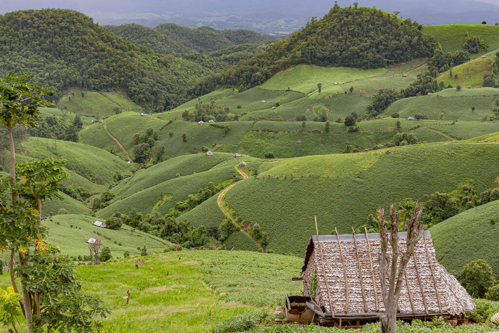 Thai in Thailand -6-