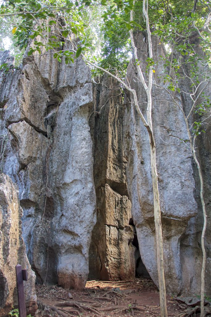 Suan Hin Pha Ngam