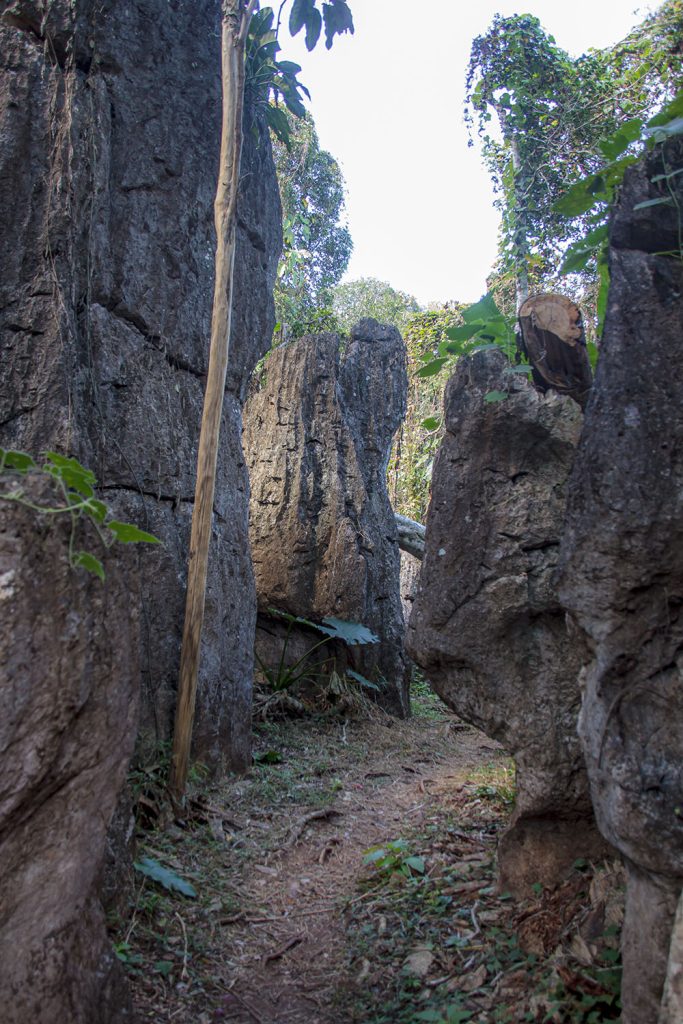 Suan Hin Pha Ngam