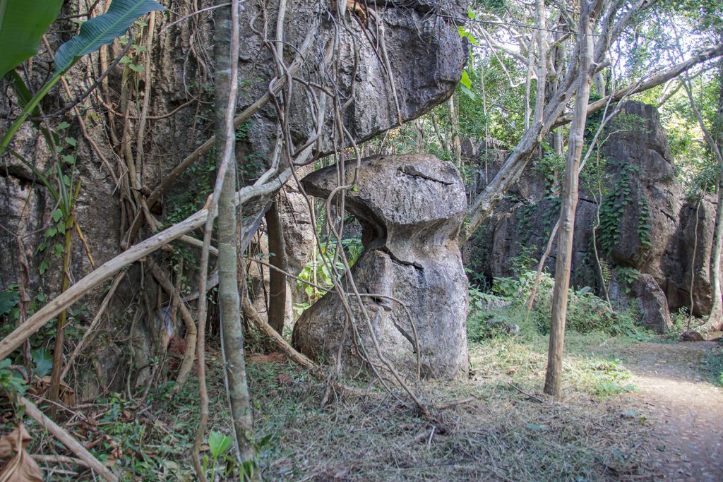 Suan Hin Pha Ngam