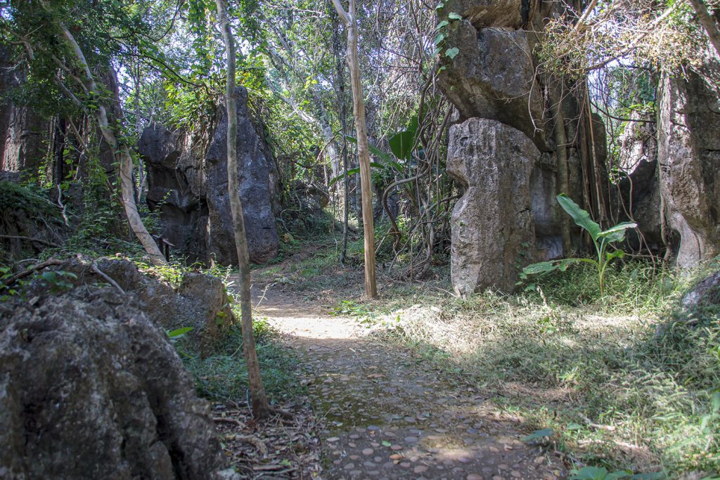 Suan Hin Pha Ngam