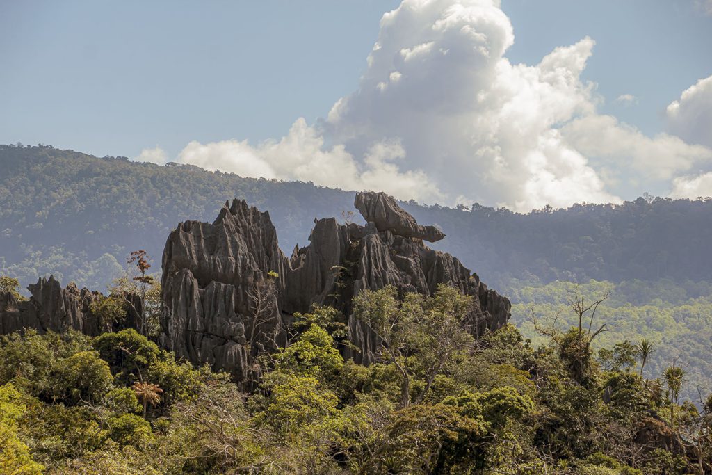 Suan Hin Pha Ngam