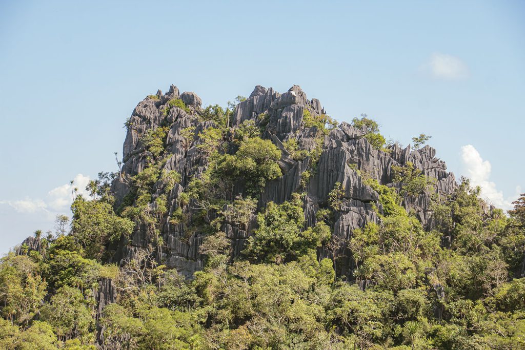 Suan Hin Pha Ngam