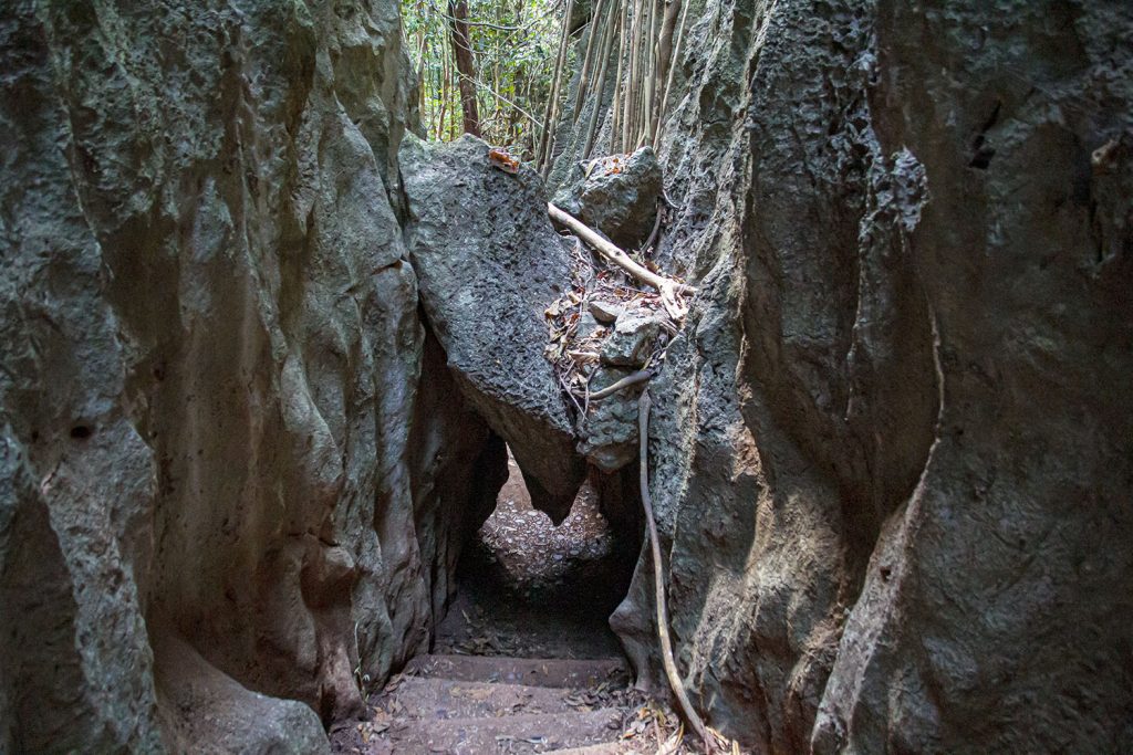 Suan Hin Pha Ngam