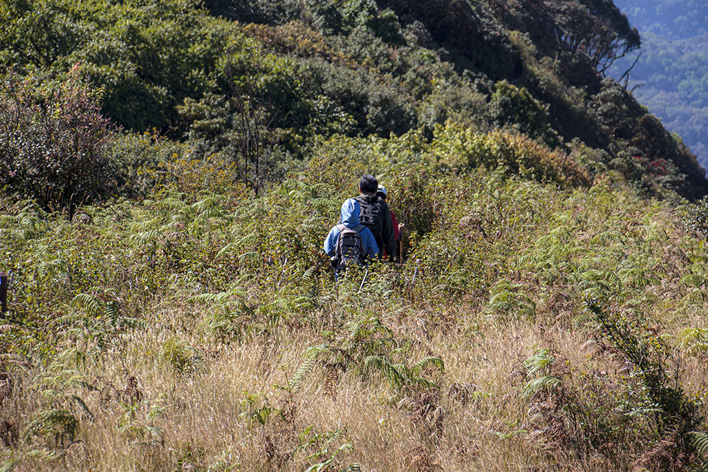 Kew Mae Pan