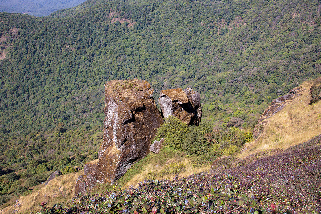 Kew Mae Pan