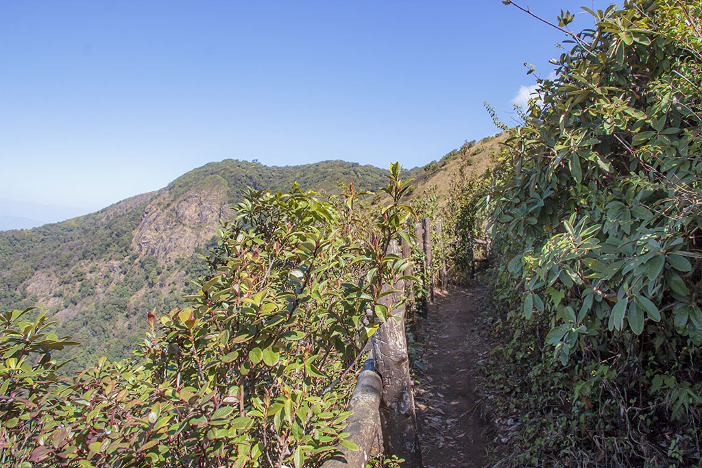 Kew Mae Pan