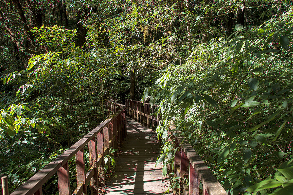 Kew Mae Pan