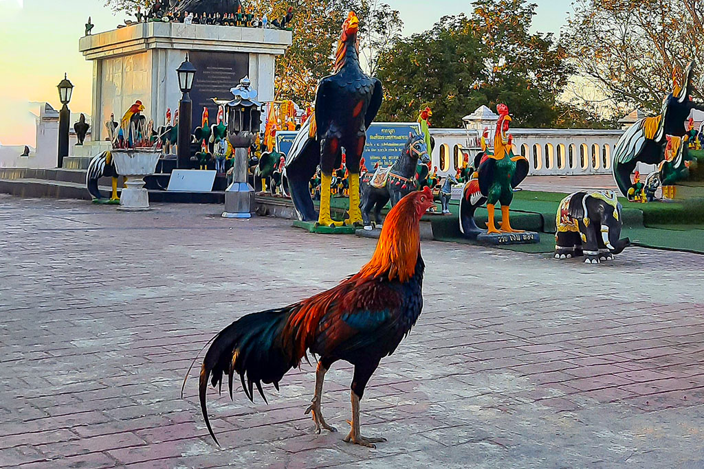 Wat Phra That Khao Noi