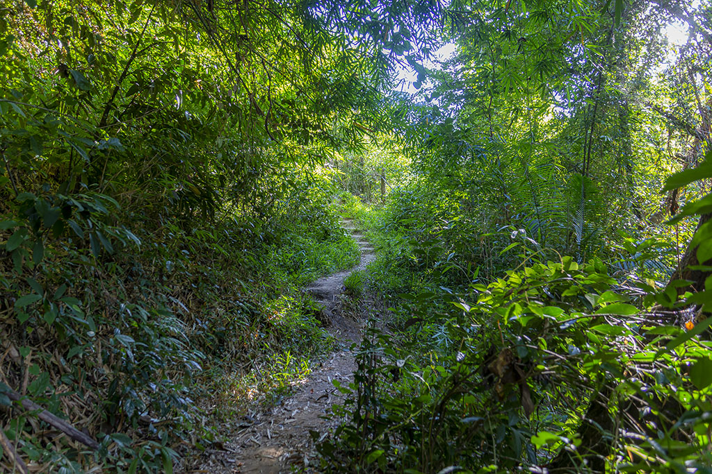 Mae Puai Waterval