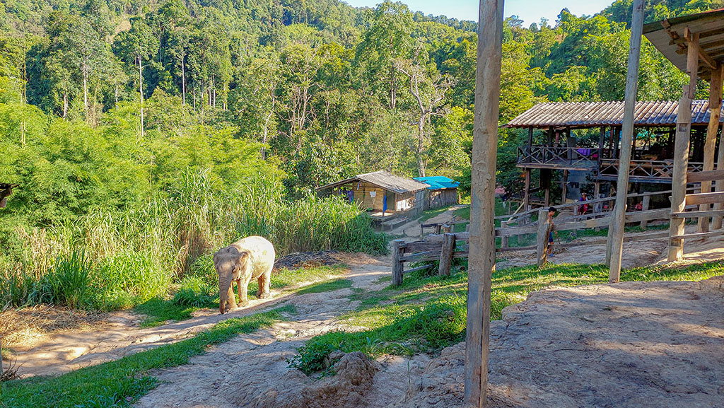 Mae Puai waterval