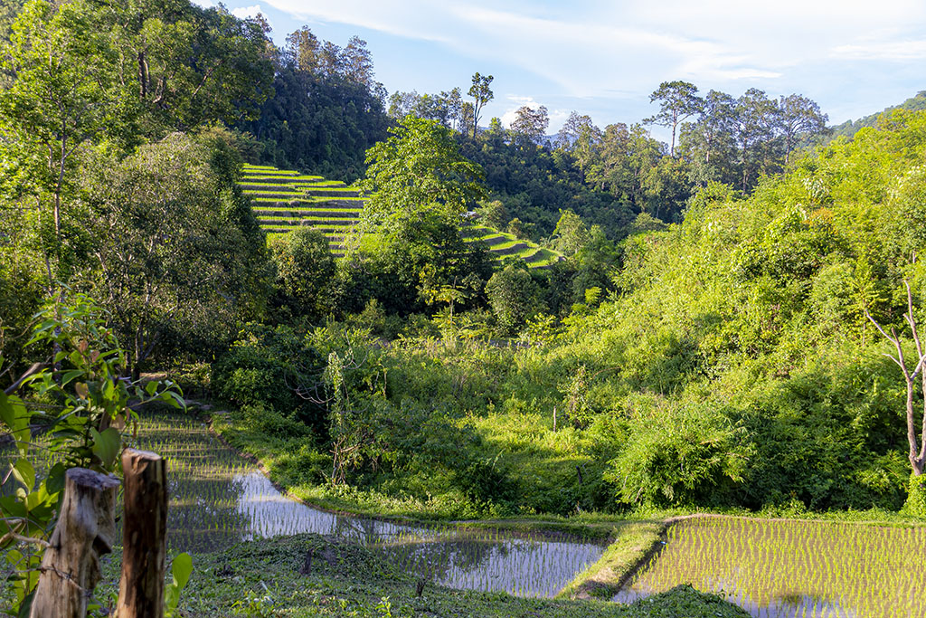 Mae Puai Waterval