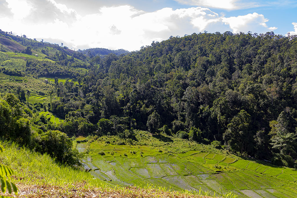 Mae Puai Waterval