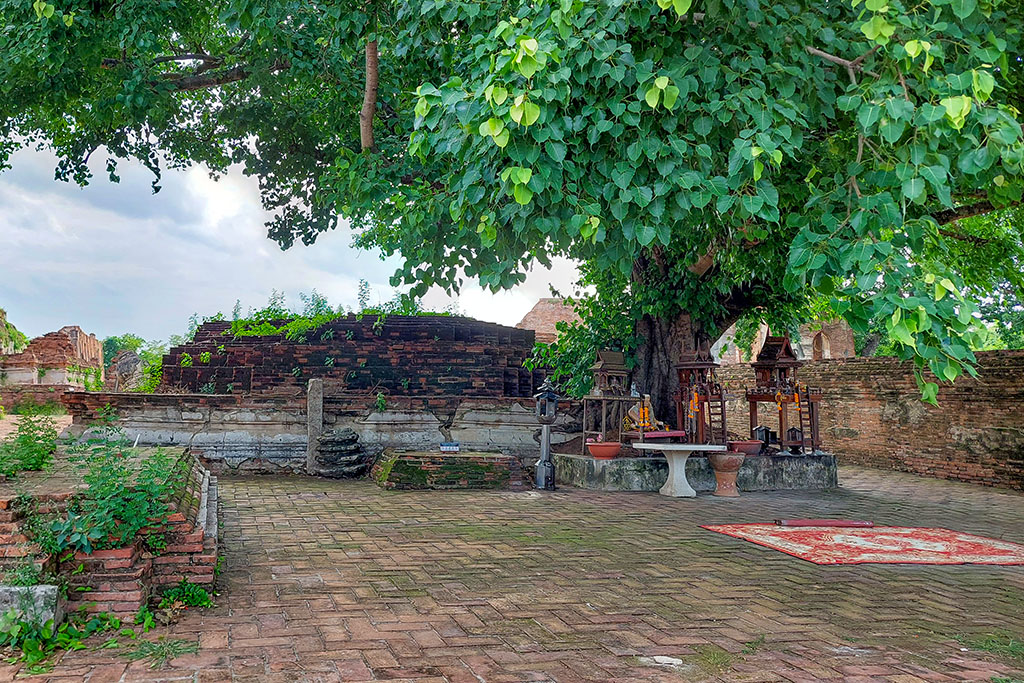 Wat Khudi dao